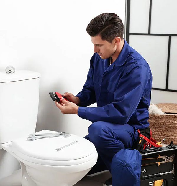 Toilet Troubles repair